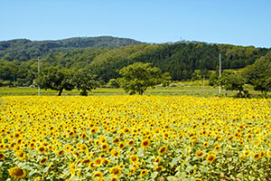 tobetsu_miniphoto03