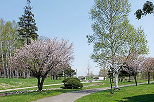 tobetsu_miniphoto05