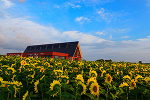 tobetsu_miniphoto07